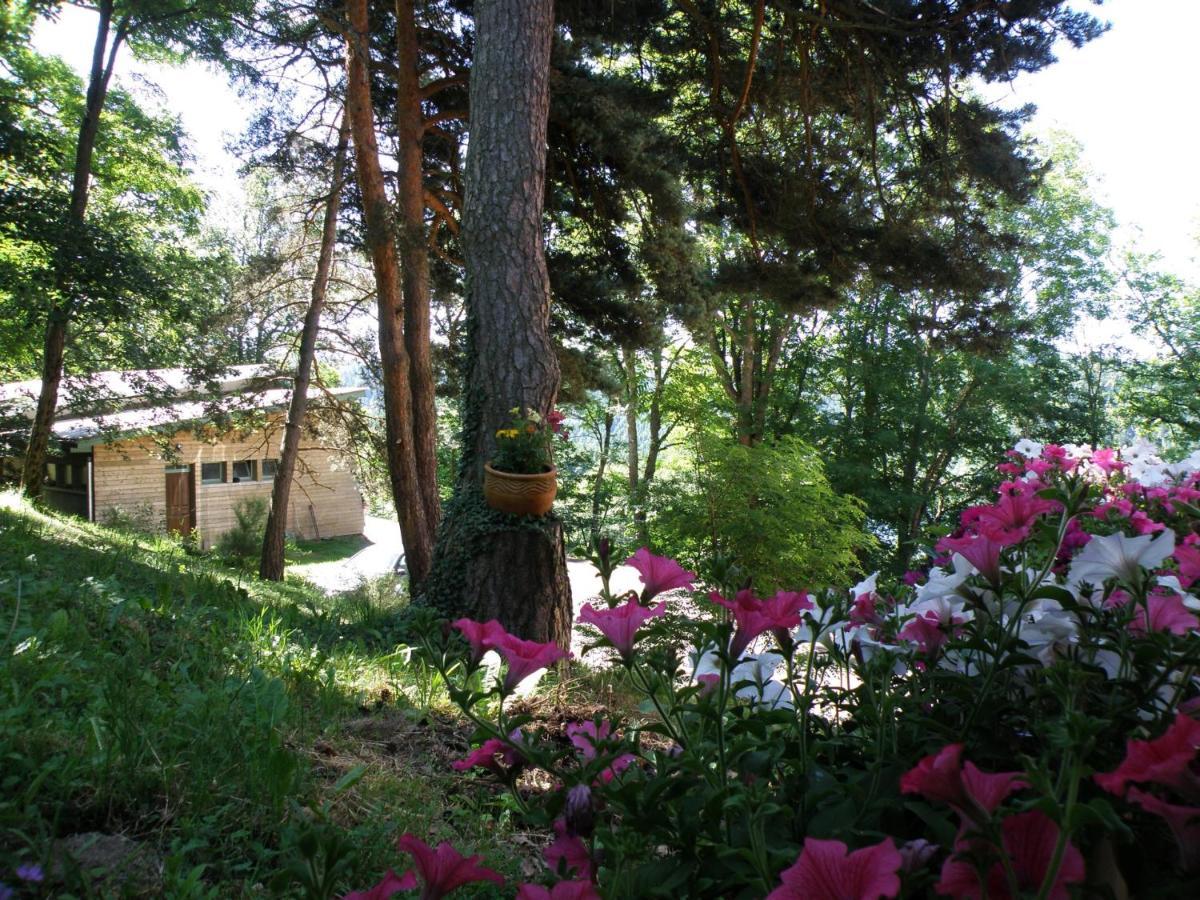 Le Grand Val Bed and Breakfast Lavastrie Exteriör bild